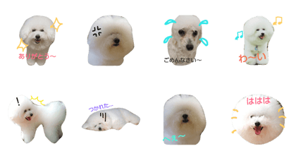 tamochan stamp