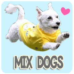 Mix dog's use sticker.