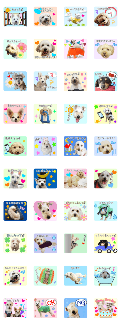 Mix dog's use sticker.