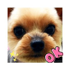 HONEY_20210615224130