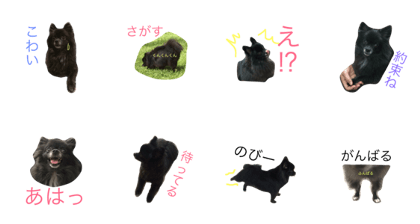 BlackPome