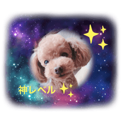 Hana_20210615204648