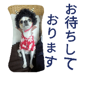 Yukke & Sue ver.2