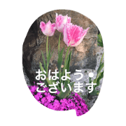 YOKUTUKAUNICIJYOUKAIWA