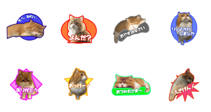 cute eyes cat mii stamp