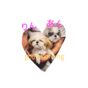 jtpgam