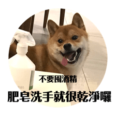 多多可愛小狗狗2.0