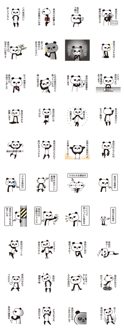 The Hasegawa panda