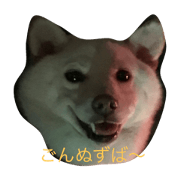 yuzuponzu1122