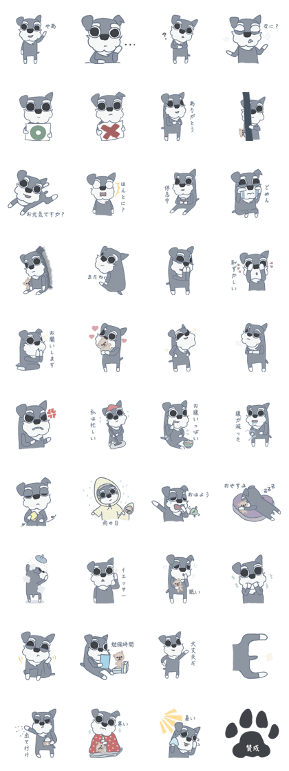 Timid schnauzer Hero (Japanese)