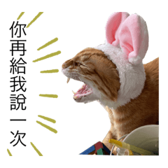 城堡管委會之社畜職場篇