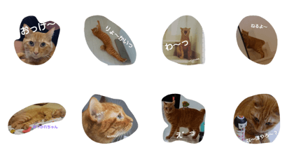 hi-hachi