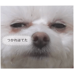c_20210616133027