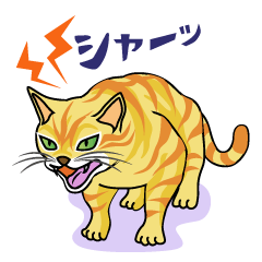 Characteless cat stamp