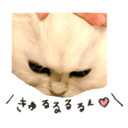 meme's stamp.part2