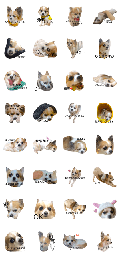 haurun2