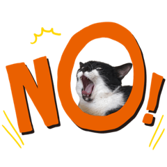 只有卡門還有雞皮