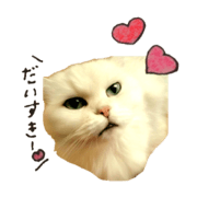 meme's stamp.