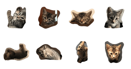 Yuzu Cat Part.1