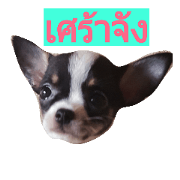 Dogza