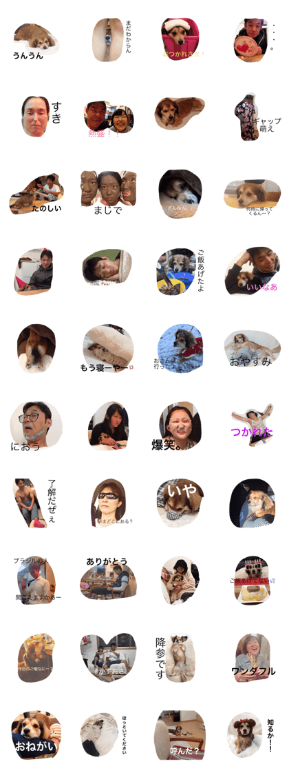 my family isyamamoto