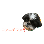 ryoku-aniki2