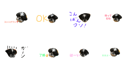 ryoku-aniki2