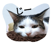 majoneko
