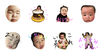 sakusakusakura