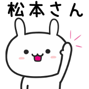 Rabbit For MATSUMOTO