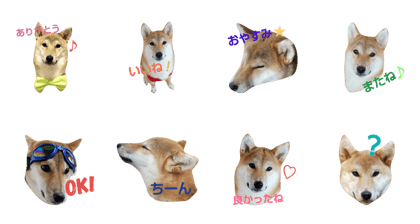SORA's stamps