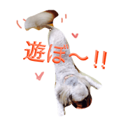 sakuradai2dan