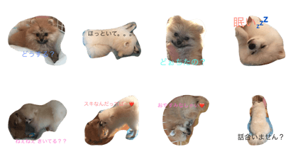 ponta&chachamaru