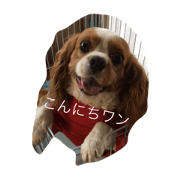 wannya