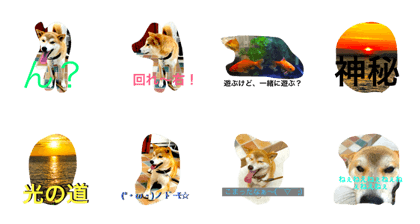 Dog and fish