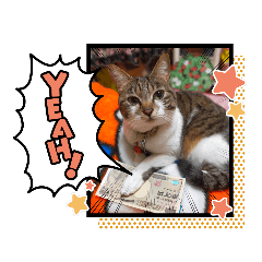 cocoa_20210616160844