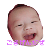 ibuki stanp