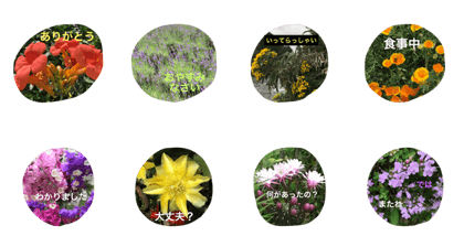 Beautiful everyday(2)