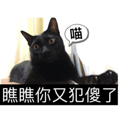 黑貓壞壞