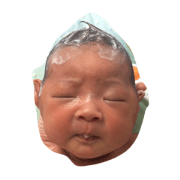 fu-ji