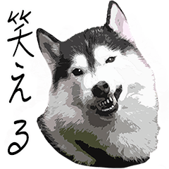 Husky sticker balto