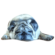 for the moment pug