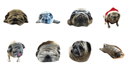 for the moment pug