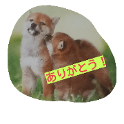 Cute bean bush stamp