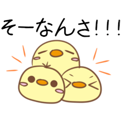 Chicks of the Gunma dialect 2