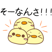 Chicks of the Gumma valve 2