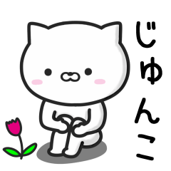 Cat For JUNKO Daily Use