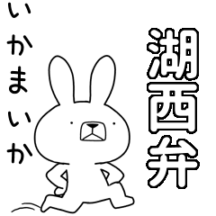 BIG Dialect rabbit[kosai]