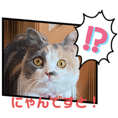 tonton_20210616110950
