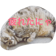 doisan's cats